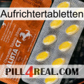 Erector Tablets 42